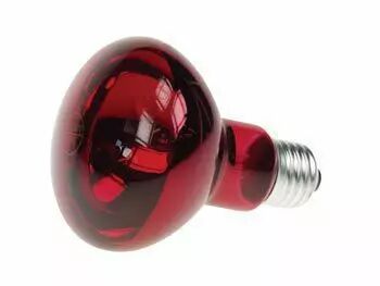 lumiere ampoules velleman