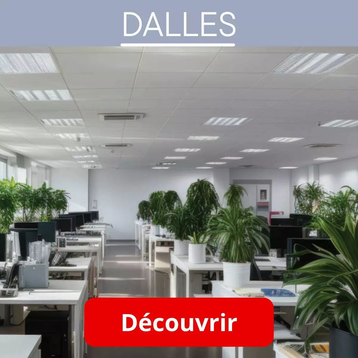 Dans un open-space o� la verdure des plantes diss�min�es vient trancher le blanc et le gris dont se couvrent les murs et le plafond, des dalles LED sont allum�es afin d'apporter leur lumi�re � l'espace.