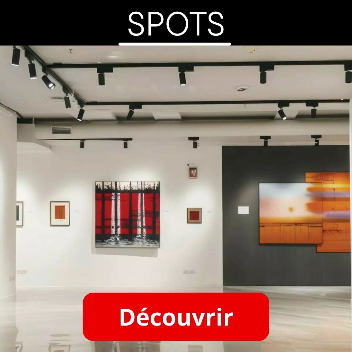 Pr�sentation des spots Miidex pr�sent�s ici en d�monstration dans une salle d'exposition artistique.