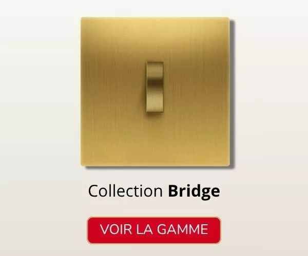 Pr�sentation d'un interrupteur en laiton de la collection Bridge.