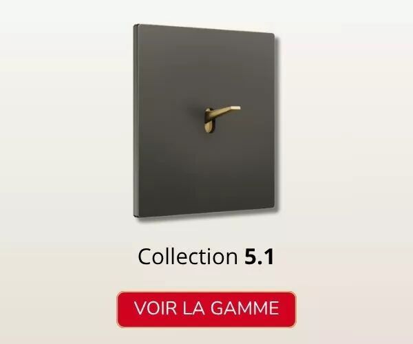 Pr�sentation d'un interrupteur en aluminium peint noir et levier dor� mat de la collection 5.1.