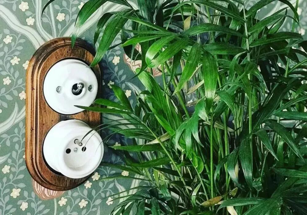 Installation d'un socle double en h�tre vieilli sur un mur � la tapisserie verte agr�ment�e de fleurs. Le socle accueille en haut un interrupteur en porcelaine blanche � levier chrom�, et en bas une prise de courant en saillie en porcelaine blanche. 