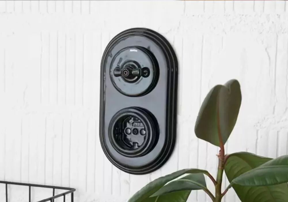 Installation d'une plaque double comportant un interrupteur et une prise, tous en porcelaine noire de la gamme Garby Colonial. Cet ensemble est positionn� sur un mur blanc l�g�rement strill� et � proximit� d'une plante verte dont le feuillage vient colorer le premier plan.