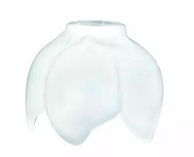 Tulipe pour lustres, Tulipe bouton - 5 p�tales -Verre satin�, longueur 80 mm (744603)