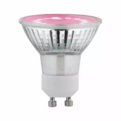Ampoule LED GU10 r�flecteur pour plante 2,4W 65lm 1100K 230V