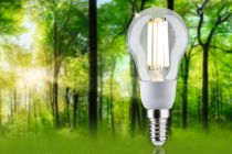 Ampoule LED E14 EcoLine Filament sphérique 2,5W 525lm 3000K clair 230V