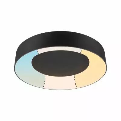 Plafonnier LED Casca IP44  White Switch 2100lm 230V 23W  Noir mat