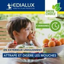 Pi&egrave;ge &agrave; mouches facilement r&eacute;utilisable (EDX-FLYBOTCOM)