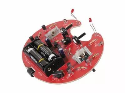 Microbug rampeur (WSAK129)
