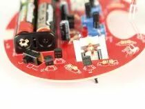 Microbug rampeur (WSAK129)