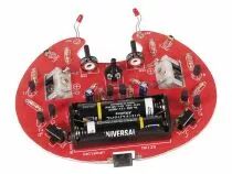 Microbug rampeur (WSAK129)