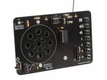 Radio fm &agrave; commande num&eacute;rique (WSAH194)