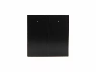 Module de commande en verre avec 2 touches tactiles (version noire) (VMBGP2-B-20)