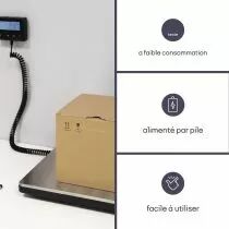 Balance postale num&eacute;rique avec affichage externe - 100 kg / 10 g (VTBAL503)