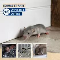 D&eacute;fendez les souris et les rats par ultrasons - &agrave; l'int&eacute;rieur et &agrave; l'ext&eacute;rieur (EDX-1112000112)
