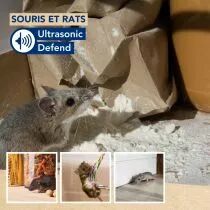 Ultrasonic defend - souris et rats, max. 90m&sup2;, 3 pcs (EDX-1112000103)
