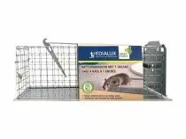 Cage &agrave; rats &agrave; 1 entr&eacute;e (EDX-RATKOOI1)