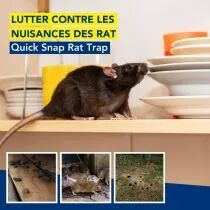 Pi&egrave;ge &agrave; rats quicksnap, promopack 2+1 pcs (EDX-1101078196)
