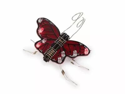 The monarch (WSAK208)