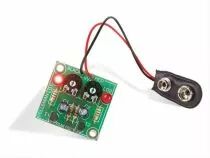Leds clignotantes (WSI102)
