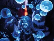 Stroboscope avec deux led blanches (WSL147)