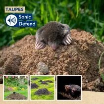Sonic defend - taupes, solaire, max. 350m&sup3; (EDX-1112077959)