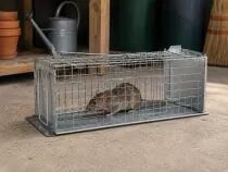 Cage &agrave; rats &agrave; 2 entr&eacute;es (EDX-RATKOOI2)