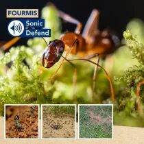 Sonic defend - fourmis, solaire, max. 2 x 400m&sup2; (EDX-1112000102)