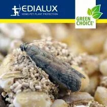 Green choice - pi&egrave;ge &agrave; mites alimentaires, 2 pi&egrave;ces (EDX-GPFMTBX)