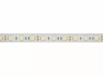 Flexible led - blanc 6500k - 60 led/m - 5 m - 12 v - ip68 - cri90 (E12W230W65)