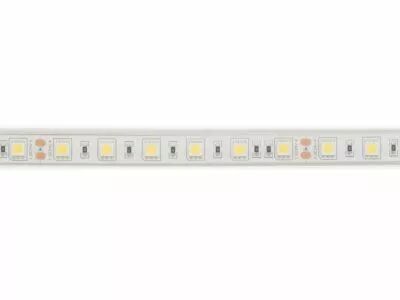 Flexible led - blanc 6500k - 60 led/m - 5 m - 24 v - ip68 - cri90 (E24W230W65)