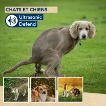 Ultrasonic defend - chats et chiens, max. 200m&sup2; (EDX-1112000104)