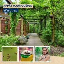 Recharge d'app&acirc;ts pour gu&ecirc;pes, 500ml (EDX-WASPTRAPREC)