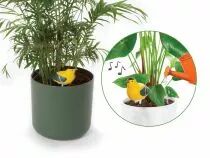 Ensemble comprenant 4 types d'alarmes de sol sec (DTPP04S)