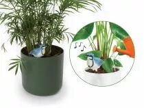 Ensemble comprenant 4 types d'alarmes de sol sec (DTPP04S)