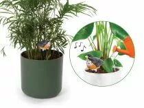 Ensemble comprenant 4 types d'alarmes de sol sec (DTPP04S)