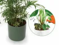 Ensemble comprenant 4 types d'alarmes de sol sec (DTPP04S)