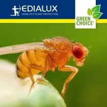 Green choice - pi&egrave;ge &agrave; mouches des fruits, 2 x 15ml (EDX-GPFFTBX)