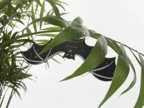 Chauve-souris cms (WSSA203)