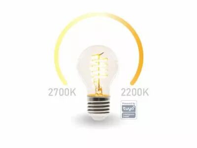 Ampoule led wifi smart - blanc chaud & blanc chaud intense - e27 - a60 (SMART1210)