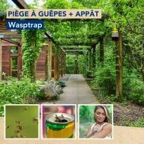 Pi&egrave;ge &agrave; gu&ecirc;pes + r&eacute;pulsif, 500ml (EDX-WASPTRAPCOM)
