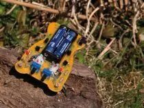 Microbug coureur (WSAK127)