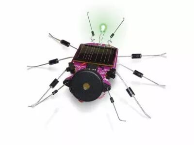Insecte � �nergie solaire (WSAK185)