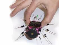 Insecte &agrave; &eacute;nergie solaire (WSAK185)