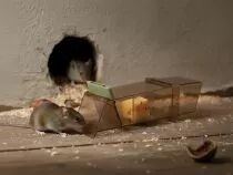 Pi&egrave;ge &agrave; souris adapt&eacute; aux animaux (EDX-TRIPTRAP)