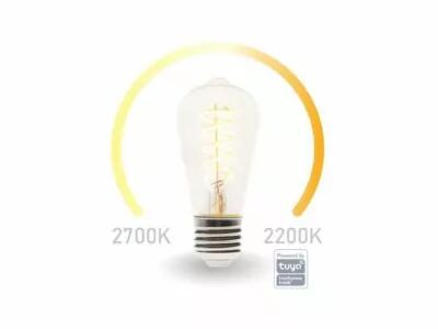 Ampoule led wifi smart - blanc chaud & blanc chaud intense - e27 - st64 (SMART1211)