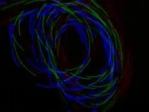 Gants lumineux led (HQPE15001)