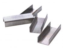 Agrafes - 600 Pcs (HSTG600STP)