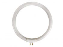 Ampoule de rechange de 12w/t4 pour vtlamp10 (LAMP12/10)