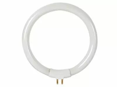 Ampoule de rechange de 12w/t4 pour vtlamp8 (LAMP22/8)